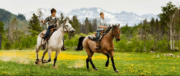 Confident plus-size woman riding Haslemere a horse through a field with a smile on her face.